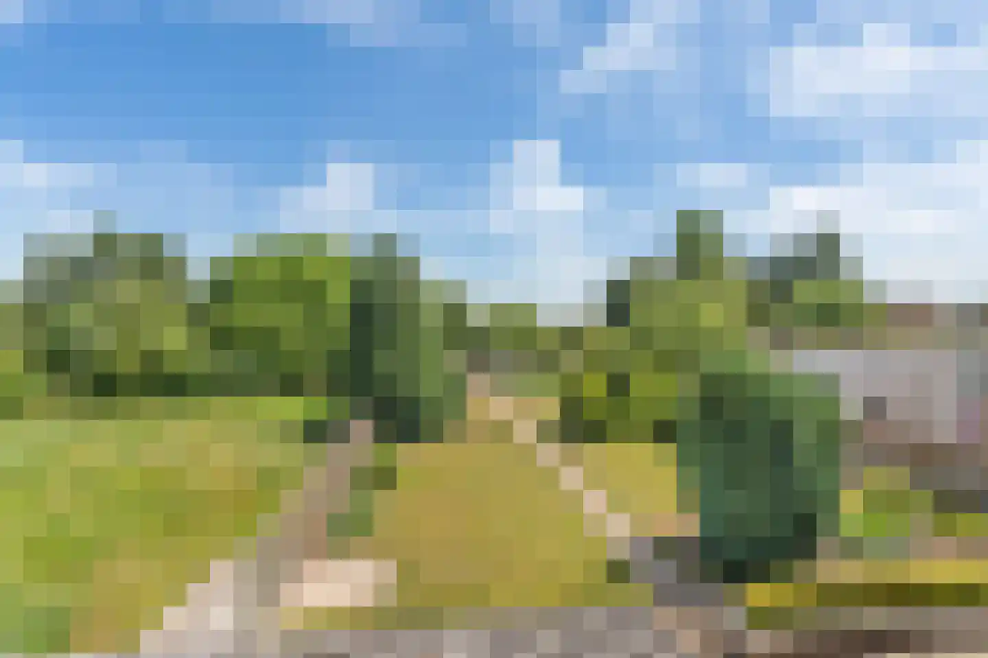 von Dopfflaan 51 Maastricht thumbnail 37