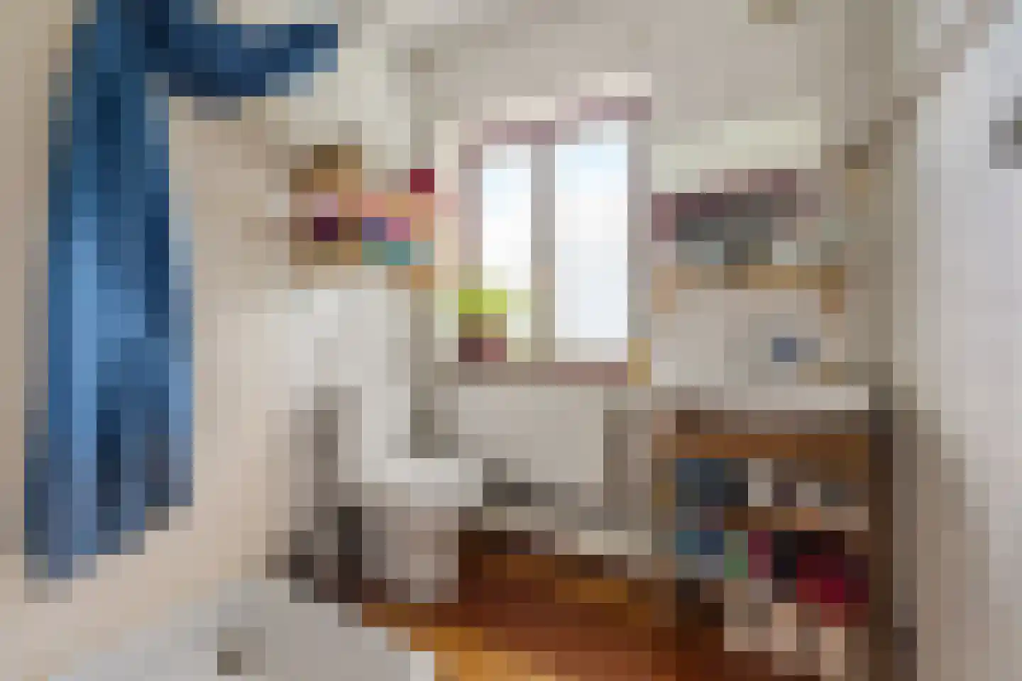 von Dopfflaan 85 Maastricht thumbnail 11