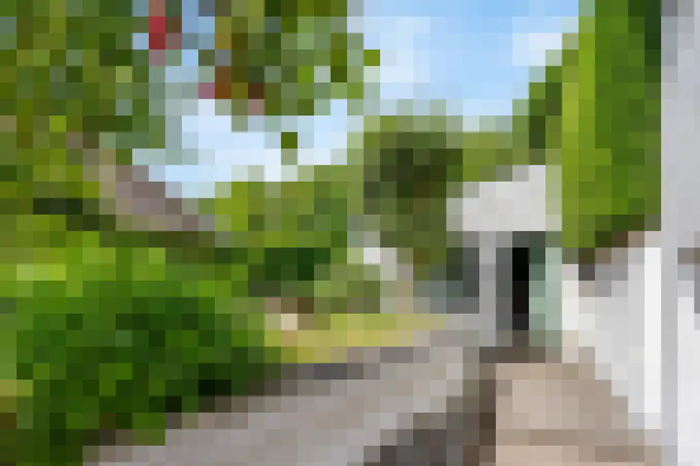von Dopfflaan 85 Maastricht thumbnail 17