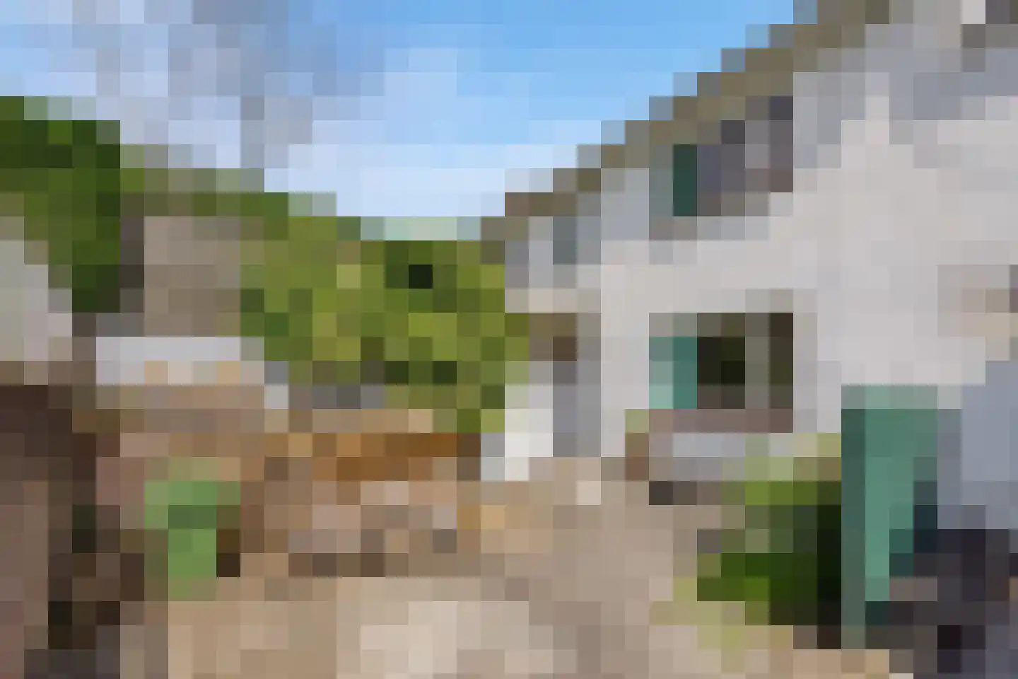 von Dopfflaan 85 Maastricht thumbnail 19