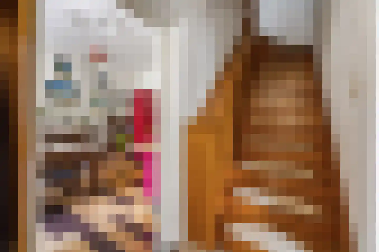 von Dopfflaan 85 Maastricht thumbnail 8