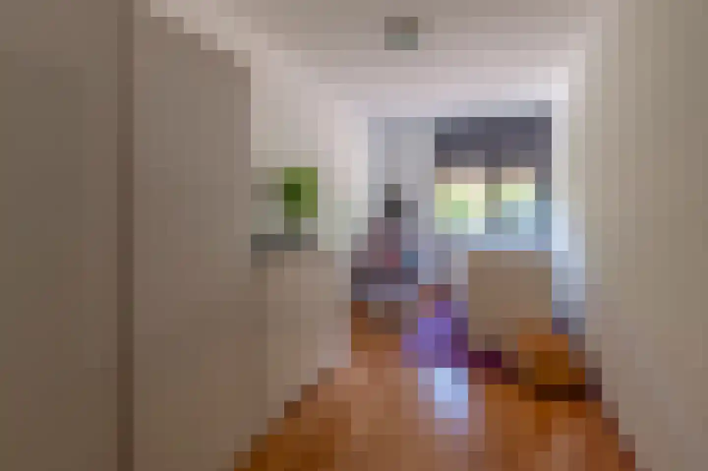 Von Flotowstraat 23 Tilburg thumbnail 17