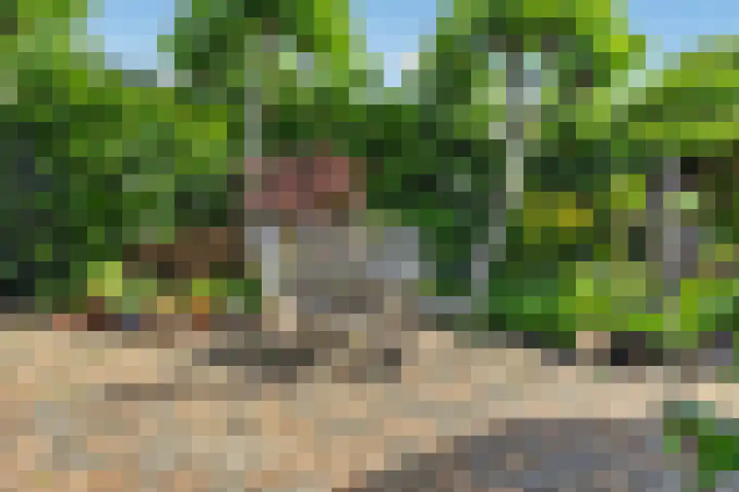 von Fraunhoferhof 35 Nijmegen thumbnail 43
