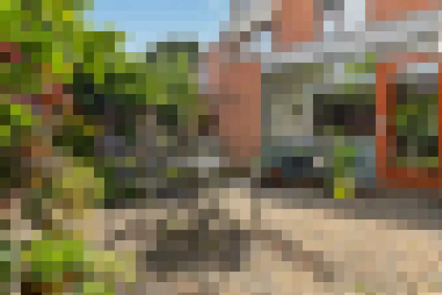 von Fraunhoferhof 35 Nijmegen thumbnail 44