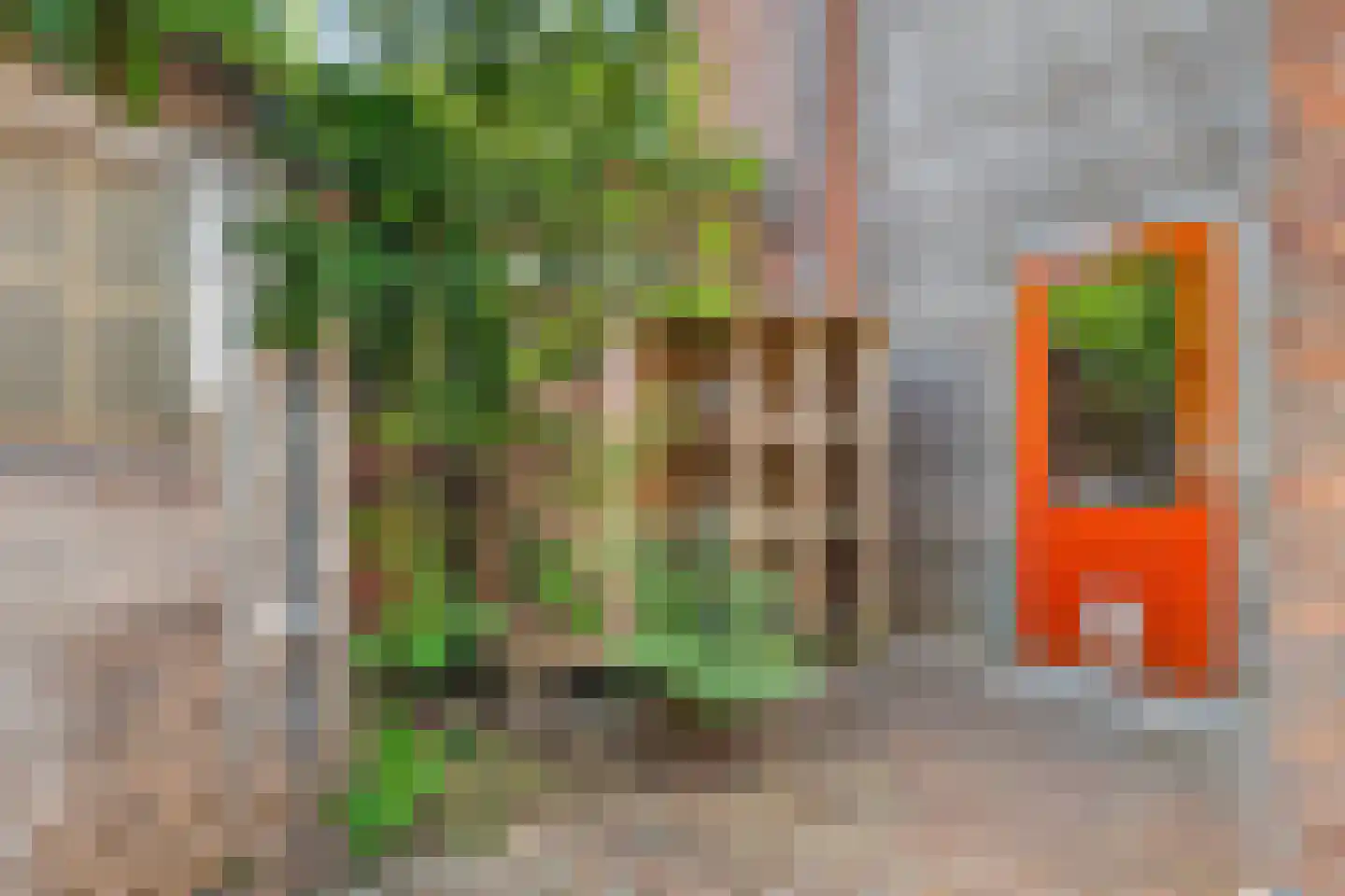 von Fraunhoferhof 35 Nijmegen thumbnail 45