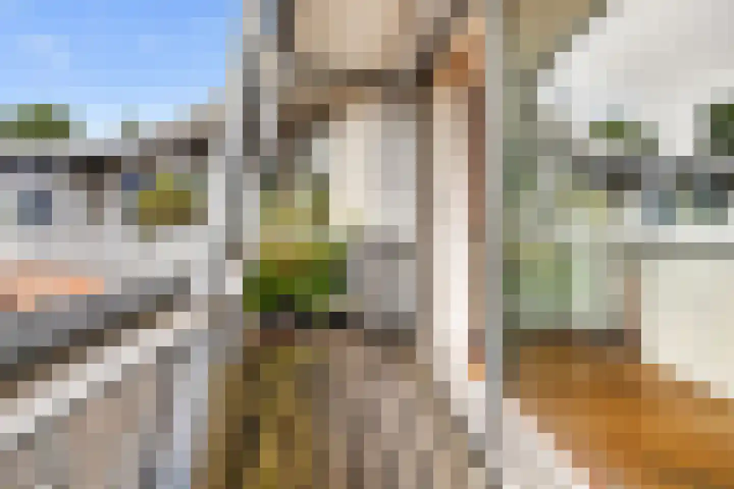 von Fraunhoferhof 35 Nijmegen thumbnail 7