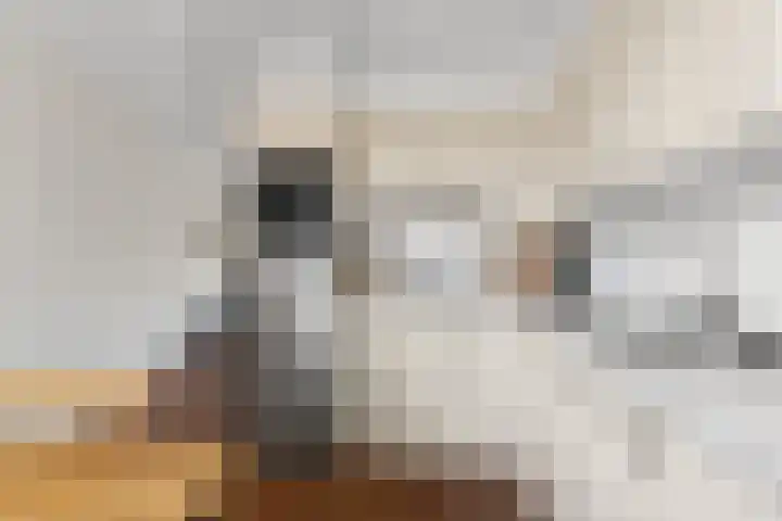 von Fraunhoferhof 39 Nijmegen thumbnail 18