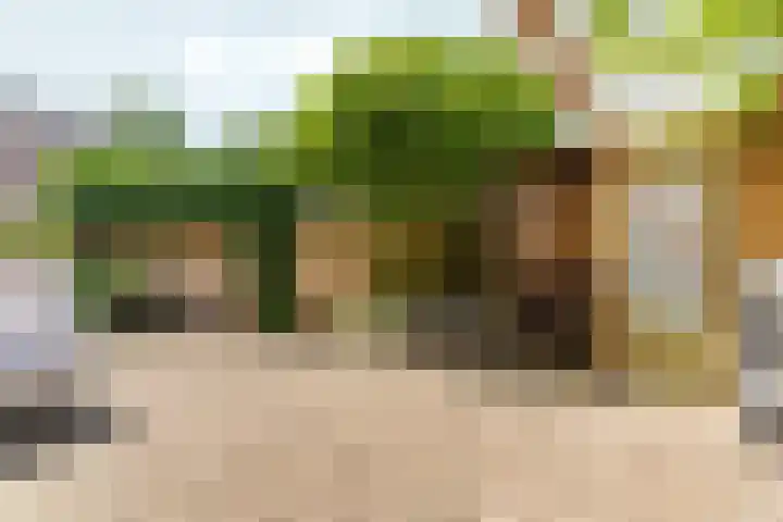 von Fraunhoferhof 39 Nijmegen thumbnail 44