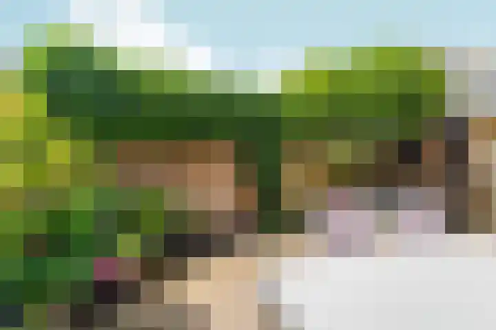 von Fraunhoferhof 39 Nijmegen thumbnail 49