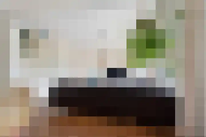 von Fraunhoferhof 39 Nijmegen thumbnail 8