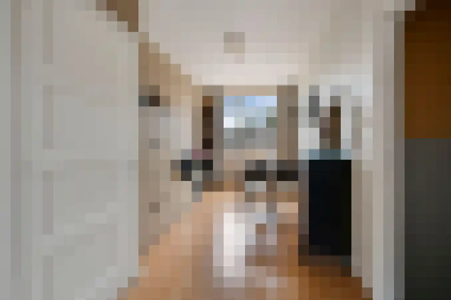 Von Geusaustraat 111 Voorburg thumbnail 13
