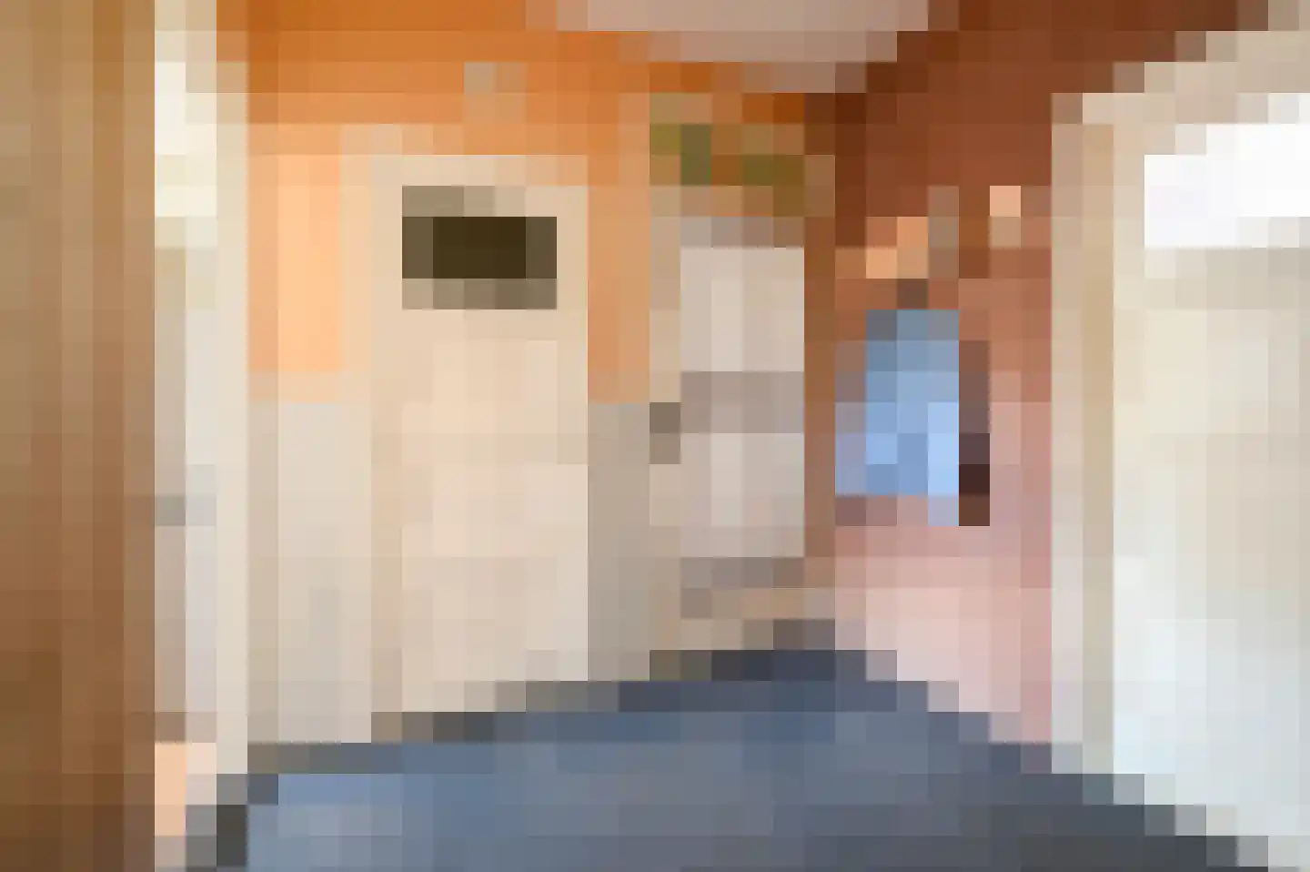 Von Geusaustraat 111 Voorburg thumbnail 8