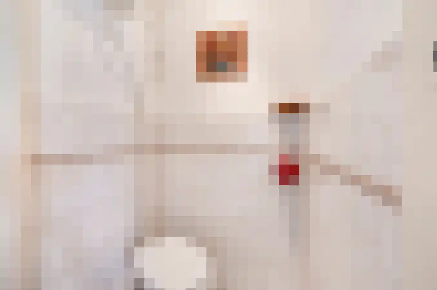 Von Geusaustraat 111 Voorburg thumbnail 9
