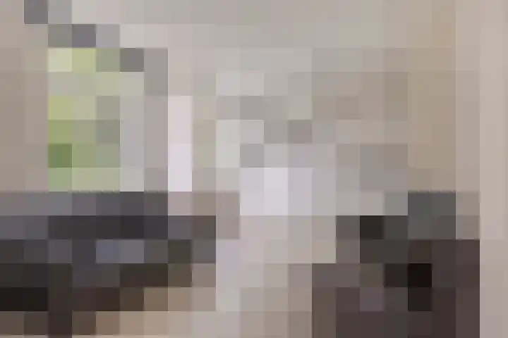 Von Geusaustraat 45 Voorburg thumbnail 10