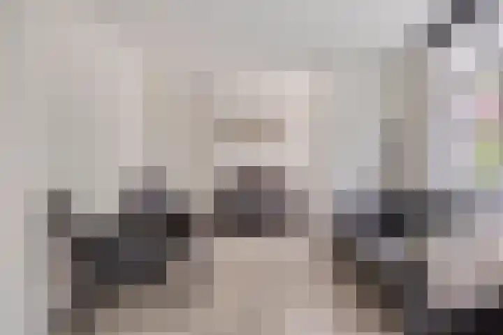 Von Geusaustraat 45 Voorburg thumbnail 12