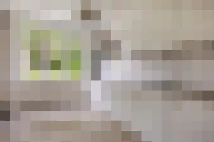 Von Geusaustraat 45 Voorburg thumbnail 14
