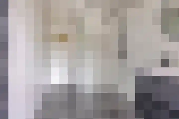 Von Geusaustraat 45 Voorburg thumbnail 16