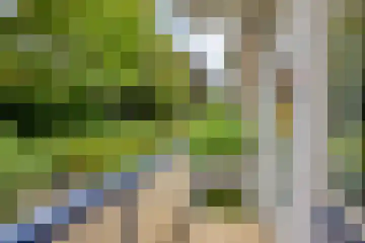 Von Geusaustraat 45 Voorburg thumbnail 19
