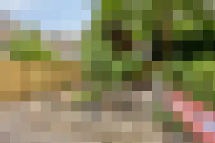 Von Geusaustraat 45 Voorburg thumbnail 21