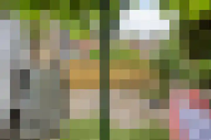 Von Geusaustraat 45 Voorburg thumbnail 22