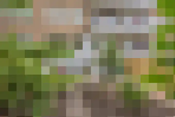 Von Geusaustraat 45 Voorburg thumbnail 23