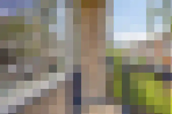 Von Geusaustraat 45 Voorburg thumbnail 25