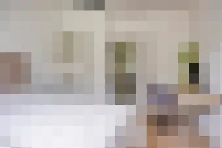 Von Geusaustraat 45 Voorburg thumbnail 4