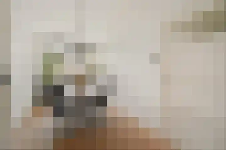 Von Geusaustraat 85 Voorburg thumbnail 15