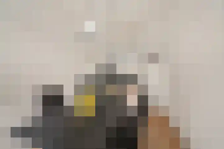 Von Geusaustraat 85 Voorburg thumbnail 16