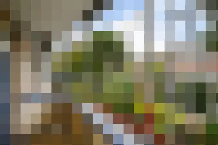 Von Geusaustraat 85 Voorburg thumbnail 20
