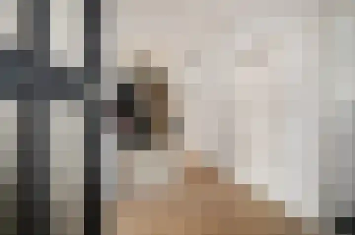 Von Geusaustraat 85 Voorburg thumbnail 6