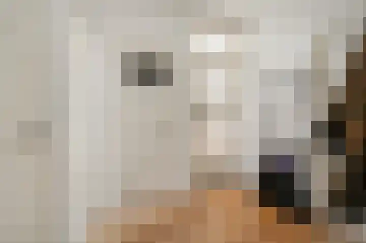 Von Geusaustraat 85 Voorburg thumbnail 7