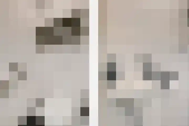 Von Geusaustraat 85 Voorburg thumbnail 8
