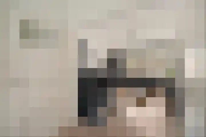 Von Geusaustraat 85 Voorburg thumbnail 9
