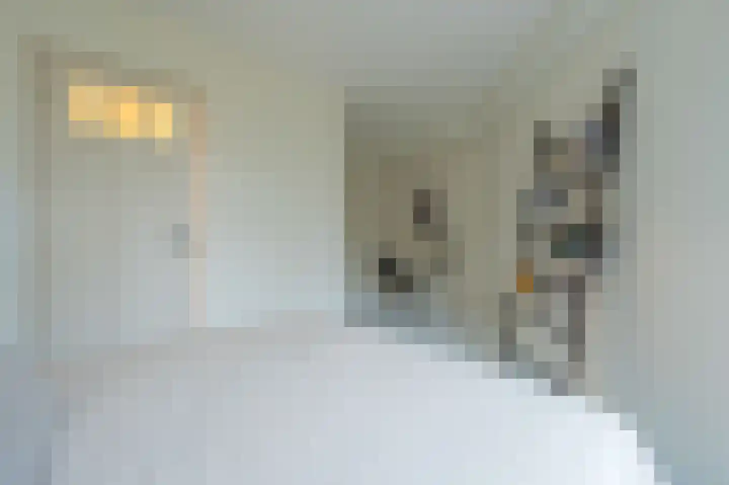 Von Guerickestraat 68 1 Amsterdam thumbnail 15