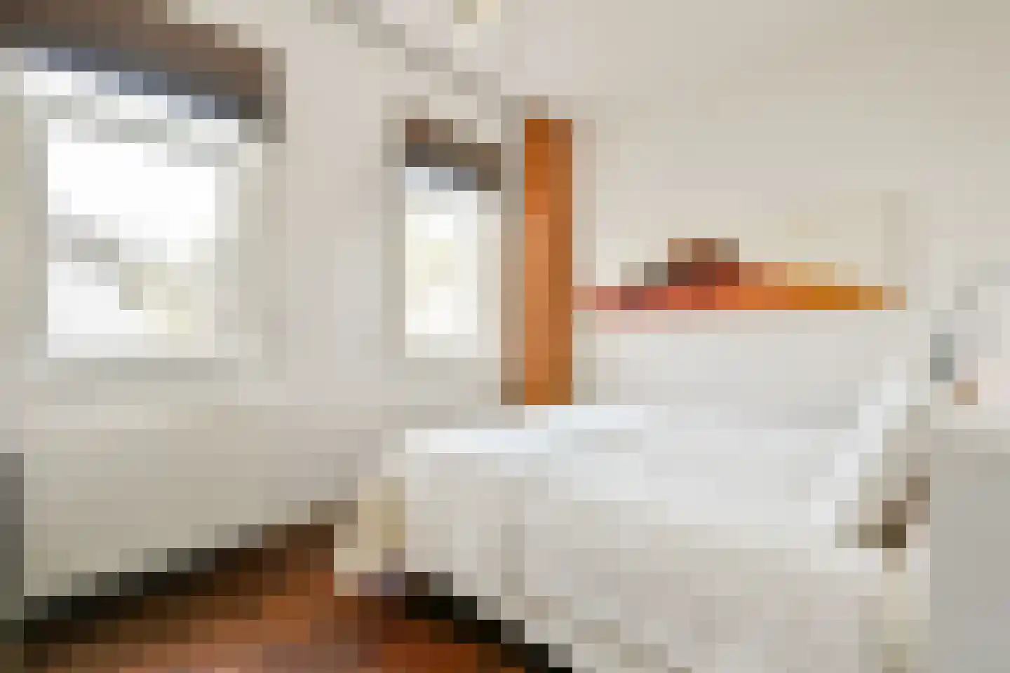 Von Guerickestraat 70 Amsterdam thumbnail 11