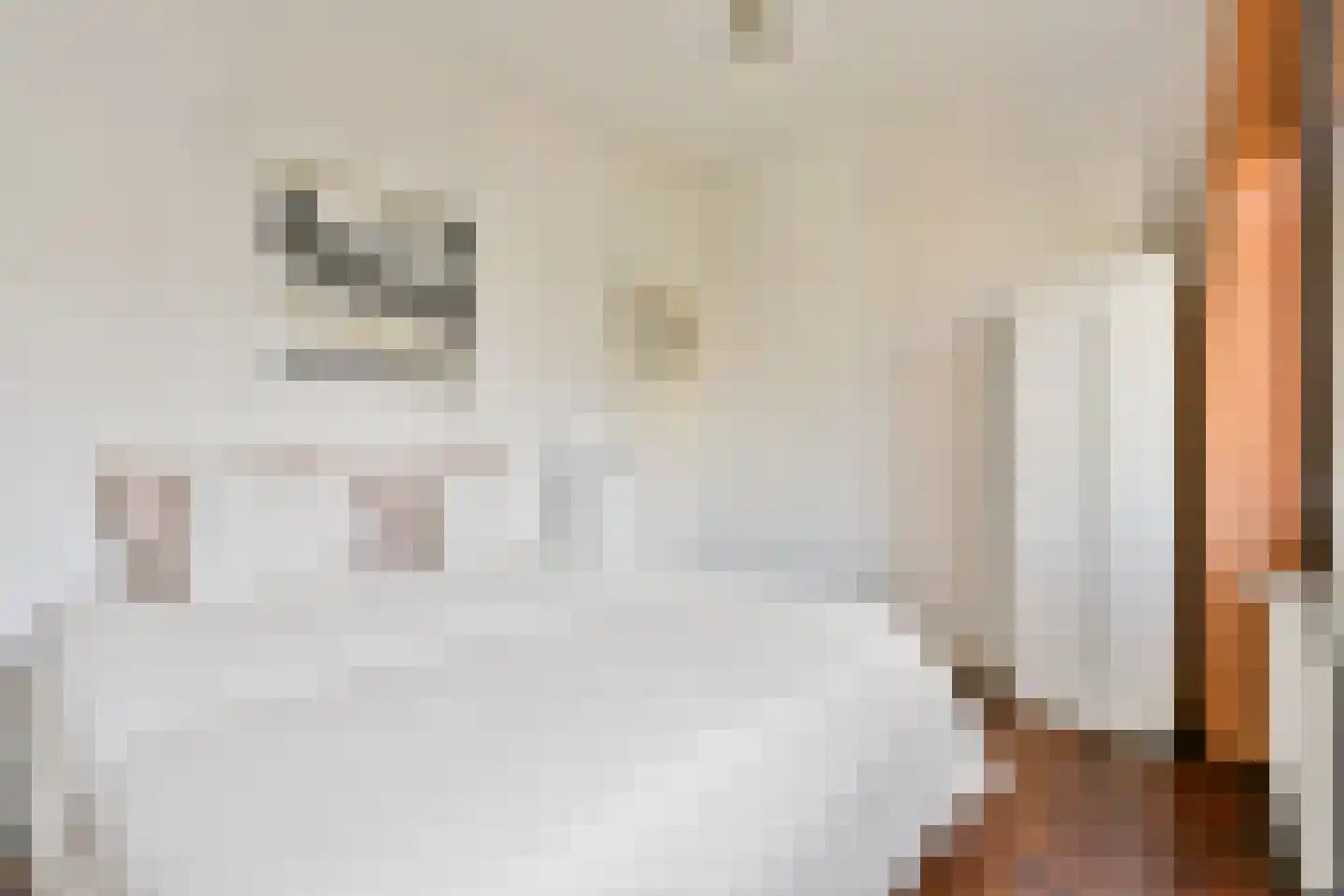 Von Guerickestraat 70 Amsterdam thumbnail 12
