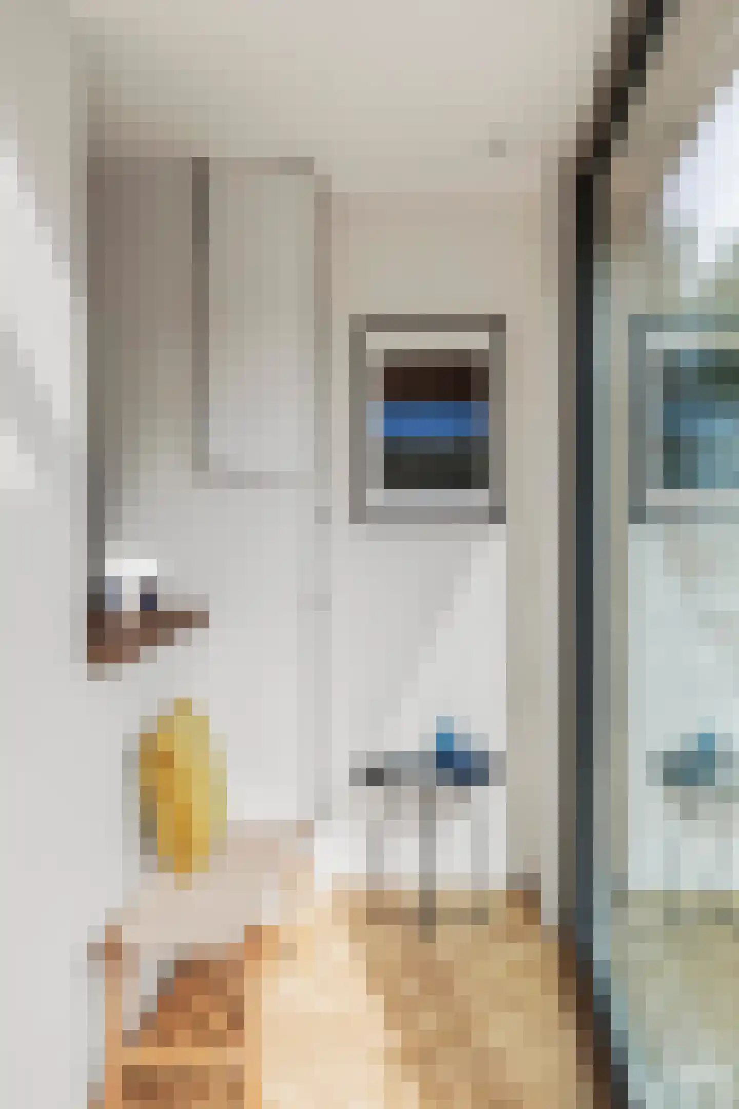 Von Guerickestraat 95 H Amsterdam thumbnail 10