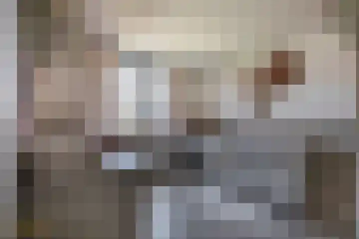 von Hundtstraat 19 Tegelen thumbnail 10