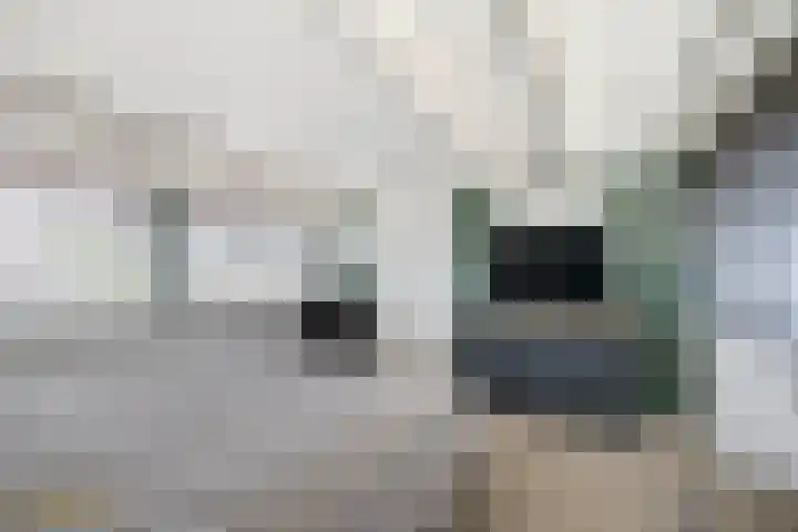 von Hundtstraat 19 Tegelen thumbnail 14