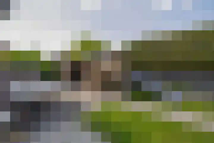 von Hundtstraat 19 Tegelen thumbnail 16