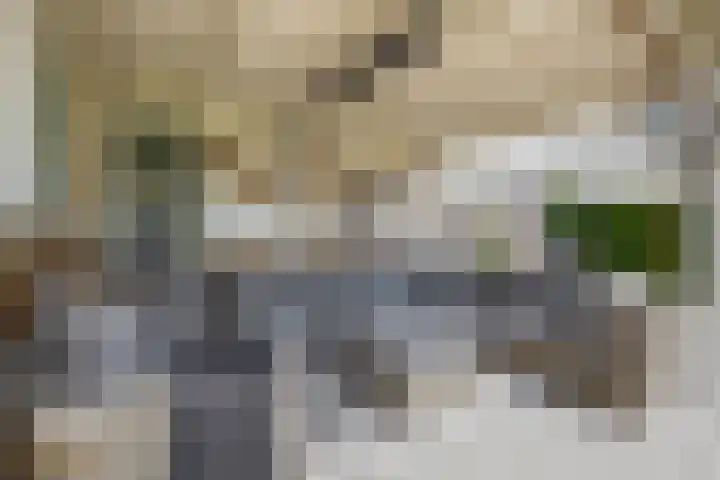 von Hundtstraat 19 Tegelen thumbnail 18