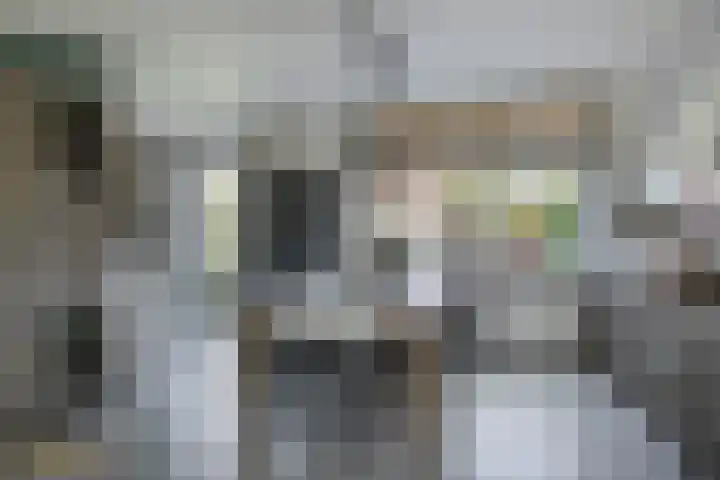 von Hundtstraat 19 Tegelen thumbnail 4