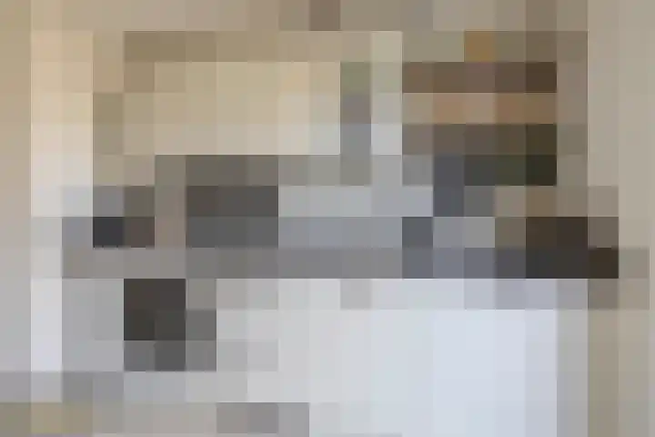 von Hundtstraat 19 Tegelen thumbnail 6