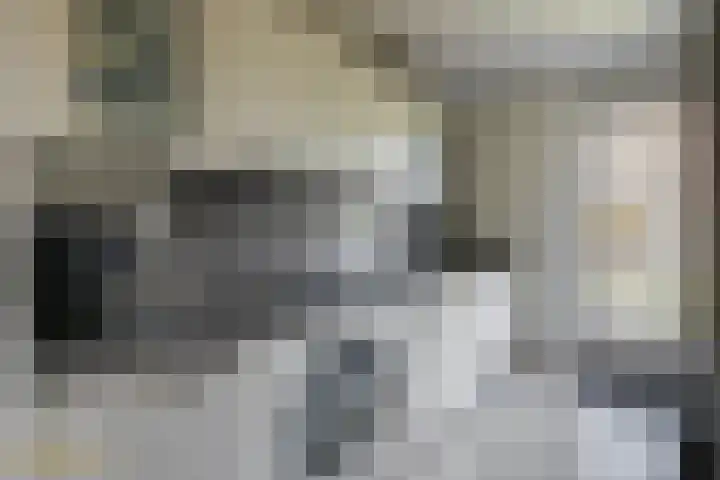von Hundtstraat 19 Tegelen thumbnail 7