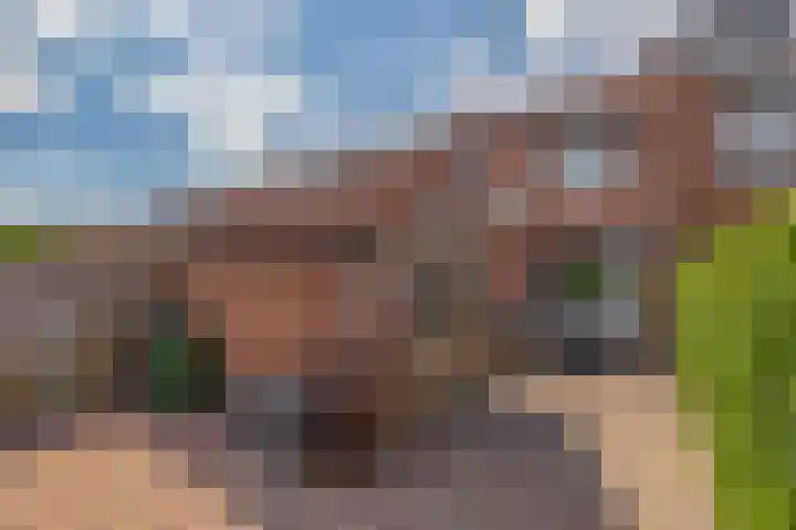 von Hundtstraat 21 Tegelen thumbnail 17