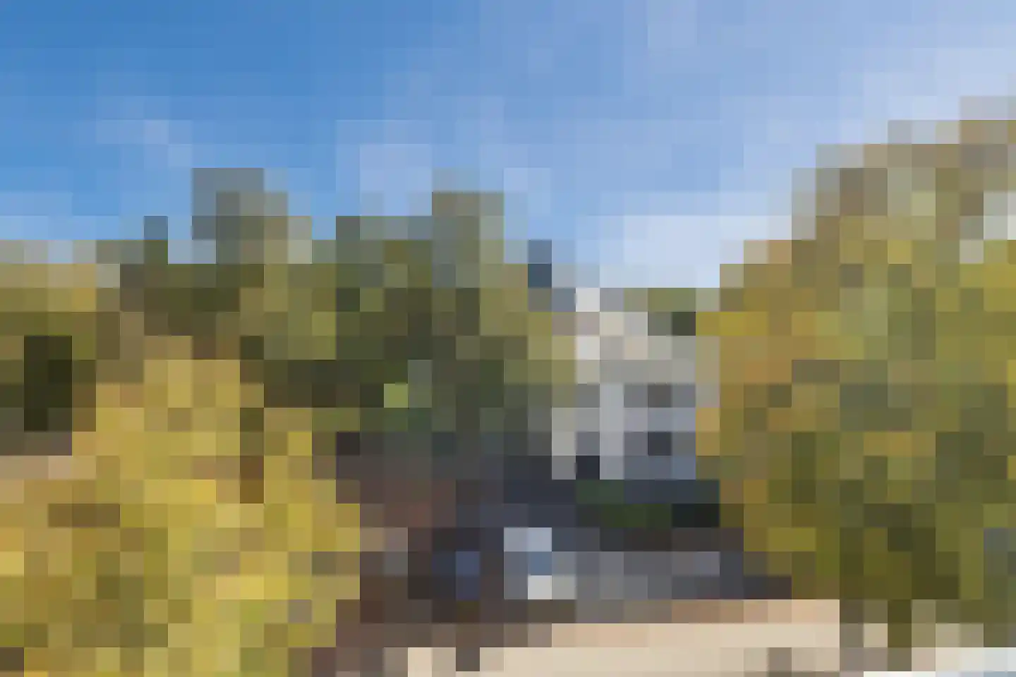 Von Kleistlaan 11 2 Utrecht thumbnail 17