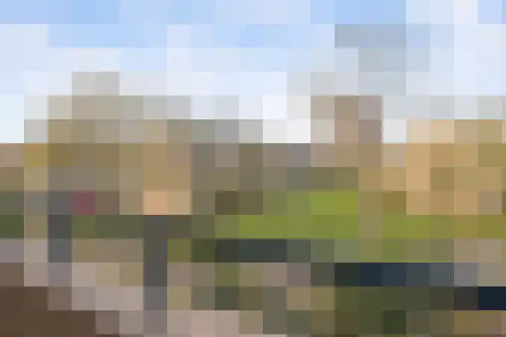 Von Kleistlaan 11 2 Utrecht thumbnail 23