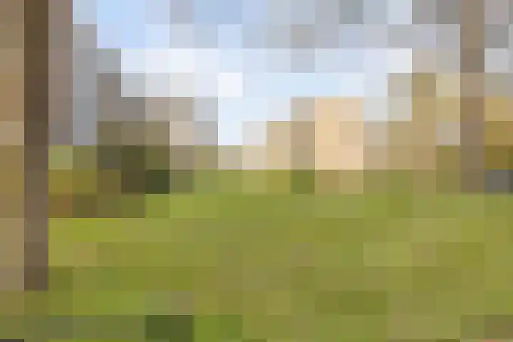 Von Kleistlaan 11 2 Utrecht thumbnail 28