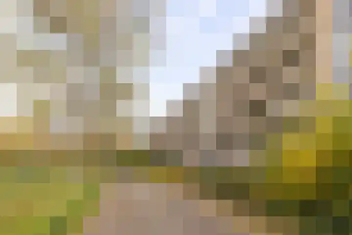 Von Kleistlaan 11 2 Utrecht thumbnail 29